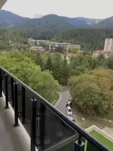 Borjomi Likani Health & Spa Centre - 43