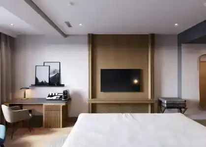 Radisson Blu, Airport - 12
