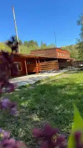 Дрова - 0