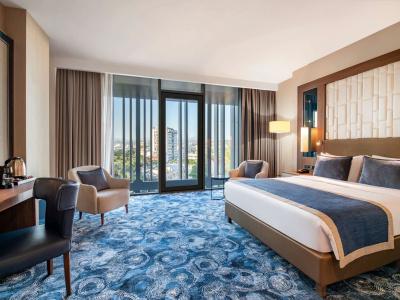 Tbilisi Philharmonic by Mercure - 14
