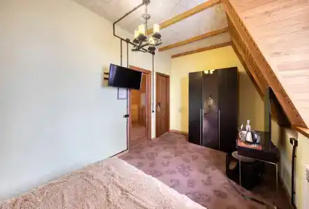Alpine Castle - 29