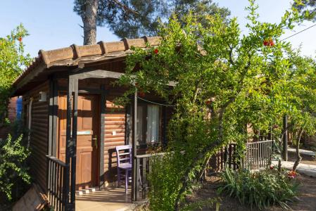 Koala Bungalows - 6