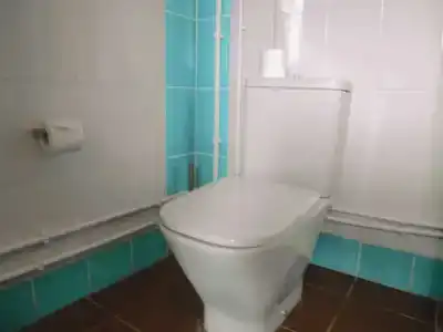 Cedar Grass Териберка - 164