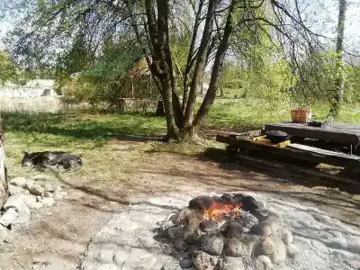 Тихое счастье - 5