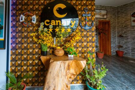 Canary - 25
