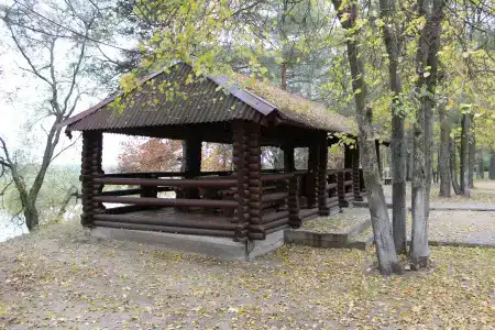 Днепровские сосны - 7