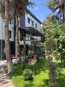 Dsf Garden - 1