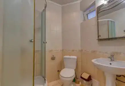 Дельфин - 40
