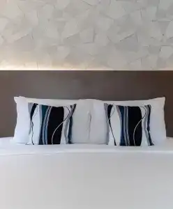 Mercure - 85