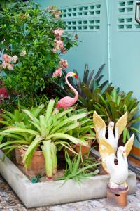 Jardin - 19