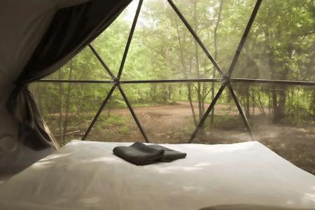 Сосновка - 12