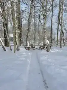 Дубльдом - 95
