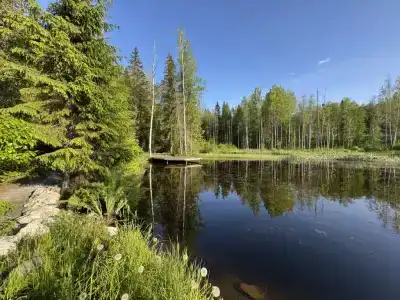 Царь горы - 37