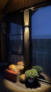 Sova House - 9