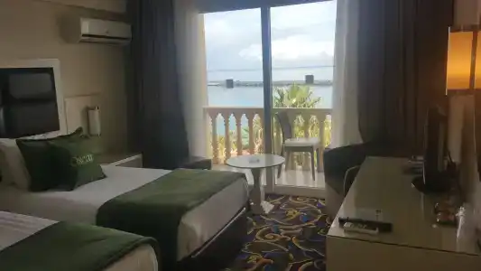 Oscar on a Sandy Beach & Casino - 56