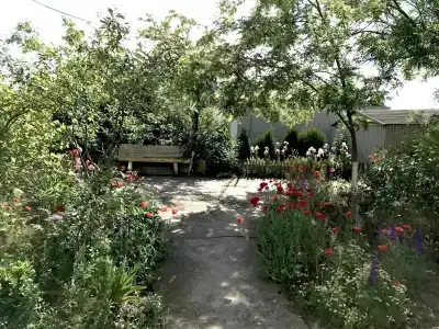 Бригантина Делюкс - 26