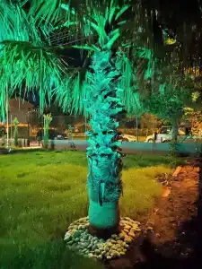 El Mundo Suites - 7