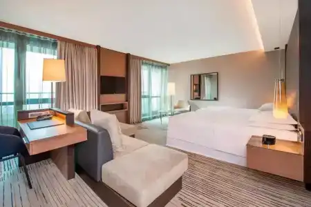 Sheraton Grand Tbilisi Metechi Palace - 18
