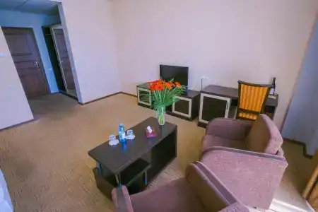 Ani Central Inn - 22
