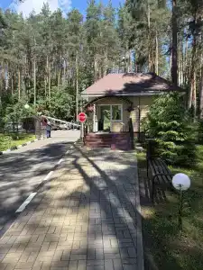 Пралеска - 6