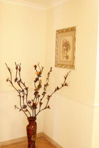 Gh San Giusto - 9