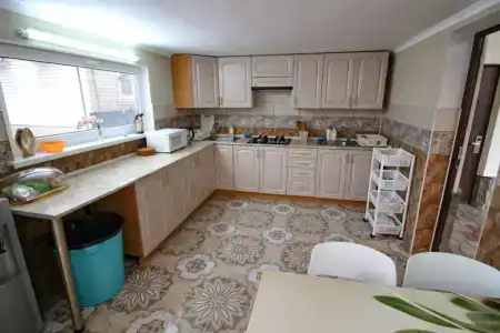 Дельфиния - 6