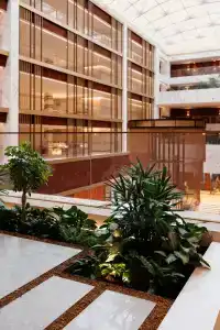 Waldorf Astoria - 5