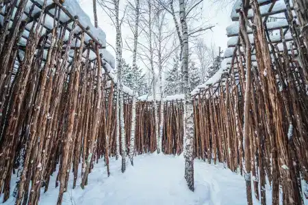 Клевер - 4