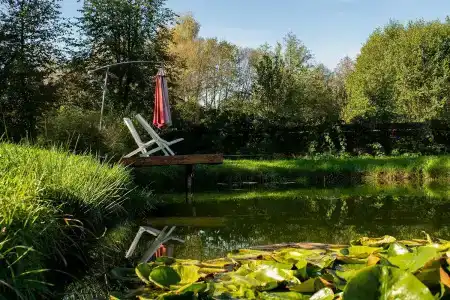 Боровики - 18