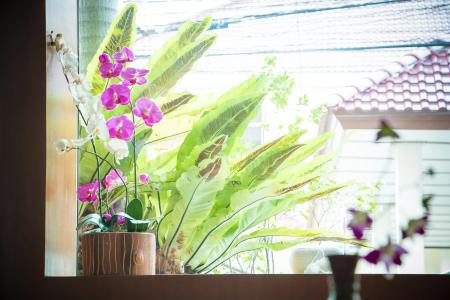 Suchanan Inns and Suites - 14