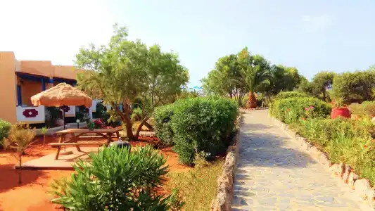 Zorbas Beach Village - 27