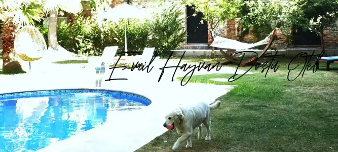 Manastırhan Kazdağları Butik Otel - 12