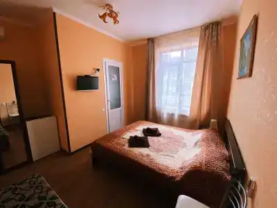 Каури - 16