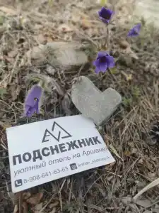 Подснежник - 15