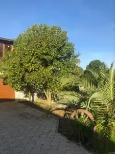 Villa Apsua - 81