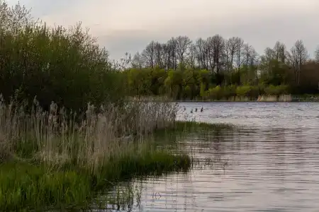 Гостевой дом на берегу реки Паша - 17