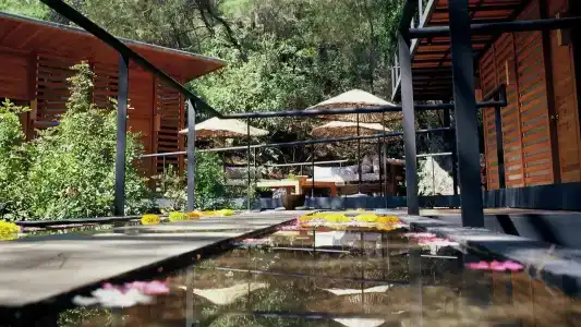 Hillside Beach Club - 11