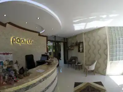 Papirus - 5