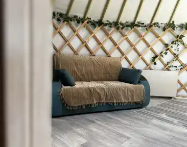 Дикая земля - 12