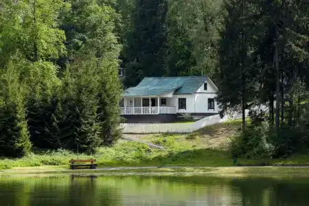 Царский лес - 1
