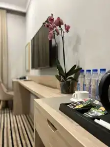 Bristol Tashkent - 13