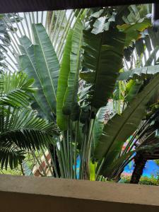 Samui Green Life - 77