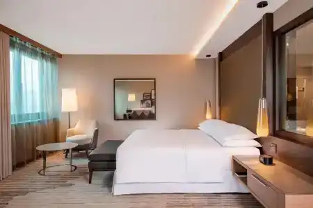 Sheraton Grand Tbilisi Metechi Palace - 61