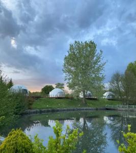 Qafqaz Thermal & Spa Resort - 36