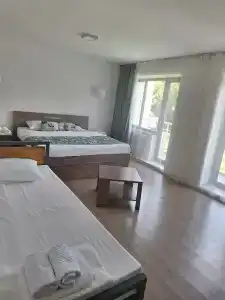 Tourist - 36