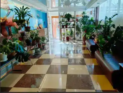 Варвара - 6