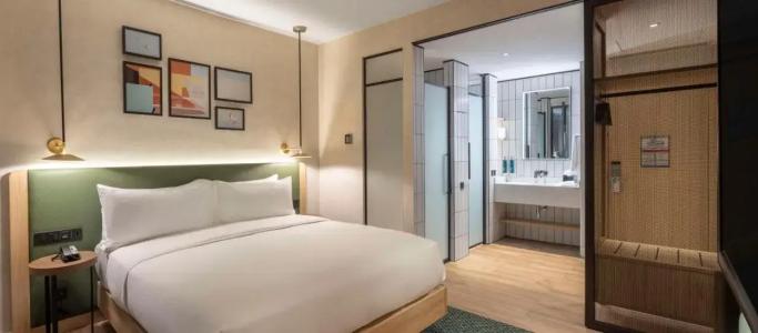 Hilton Garden Inn Tbilisi Riverview - 20