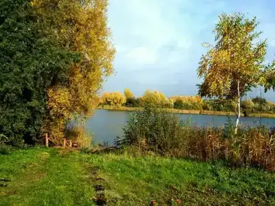 Усадьба Славная - 18