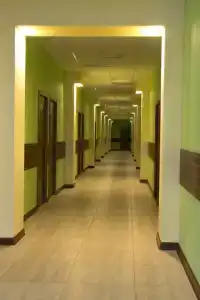 Сосны - 13