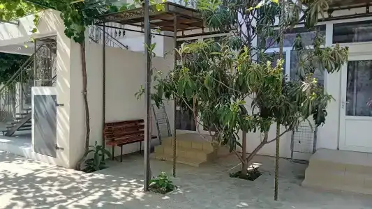 Serebria - 5